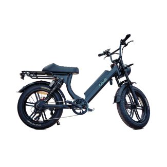 Cobalt 48V Fat Tire E-Bicycle