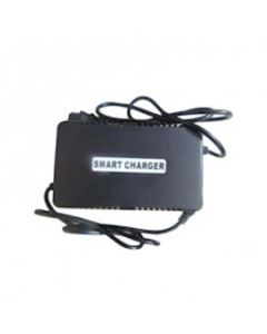Charger-Reverse Polarity