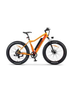 Santiago 48v All Season Fat Tire E-Bicycle